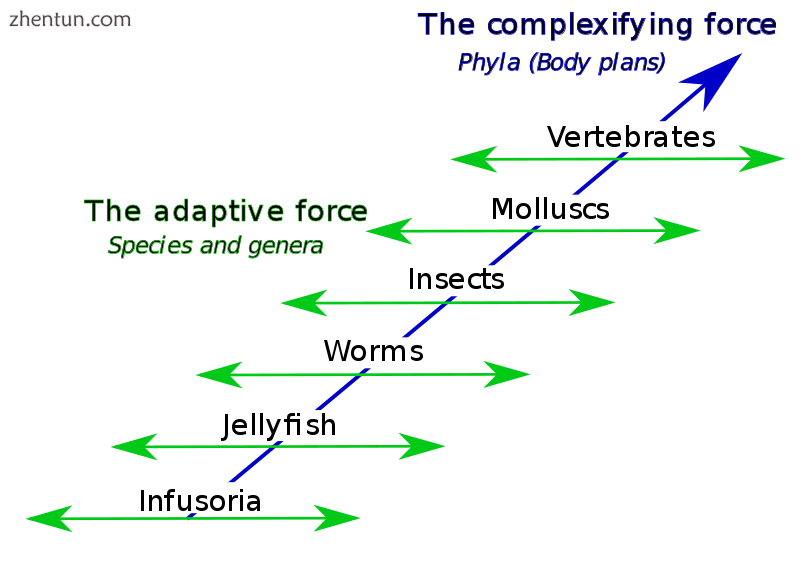 The second of Jean-Baptiste Lamarck&#039;s two.png