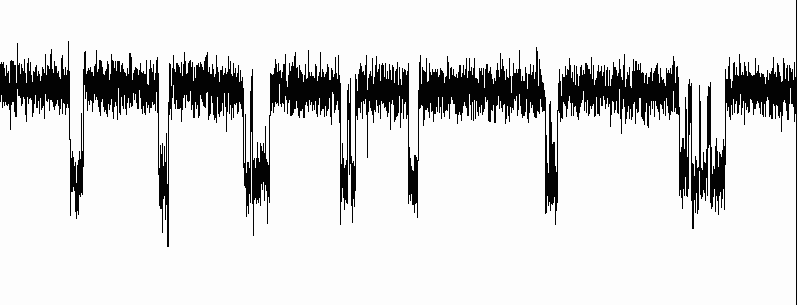 As revealed by a patch clamp electrode, an ion channel has two states.png