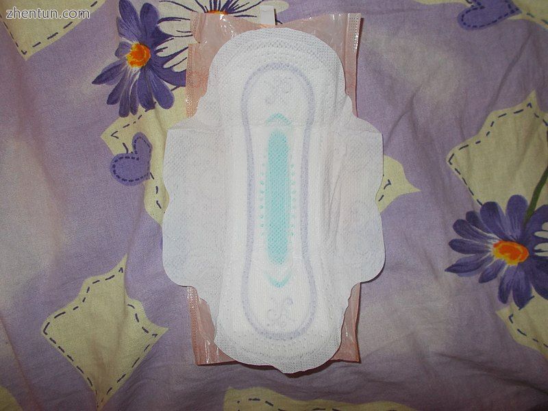 A sanitary napkin.jpg