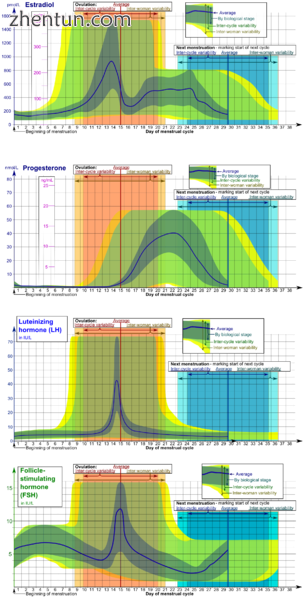 Levels of estradiol (the main estrogen), progesterone, luteinizing hormone, and .png