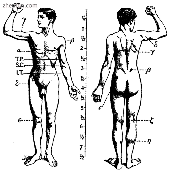 Features of the human activity system from the 1911 Encyclopdia Britannica.png
