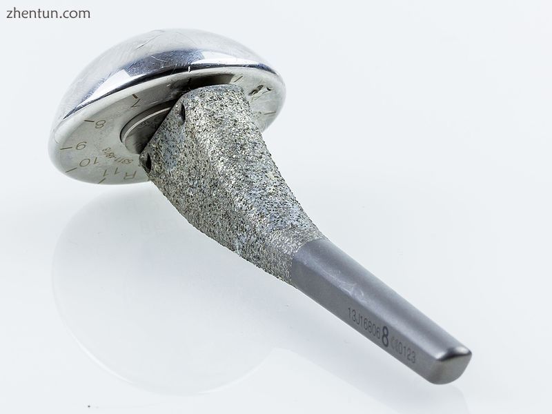 Humerus-Head Endoprosthesis. Epoca Shoulder Arthroplasty System by Synthes.jpg
