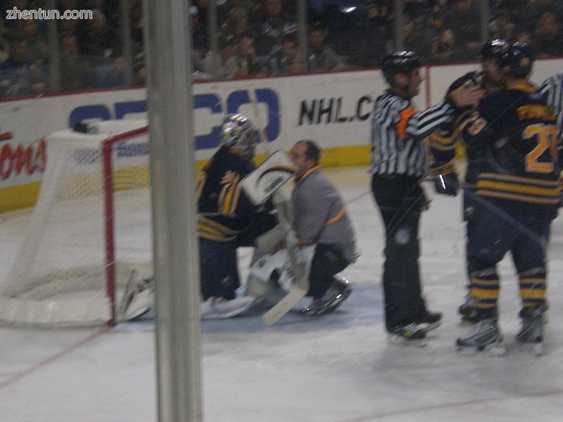 Ryan Miller of the Buffalo Sabres suffers an ankle sprain..jpg