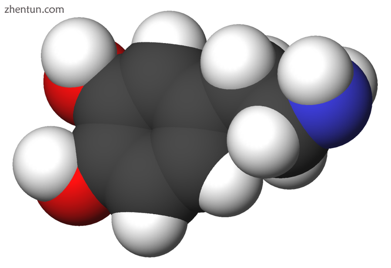 Tardive dyskinesia is believed to involve the neurotransmitter dopamine..png