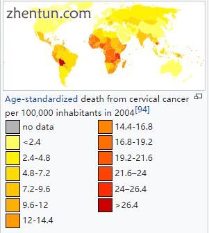 Age-standardized death from cervical cancer per 100,000 inhabitants in 2004[94].jpg