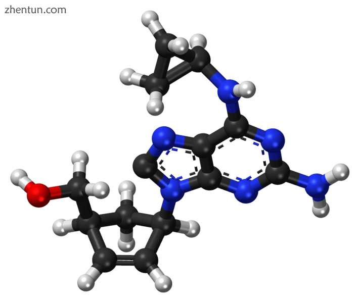 Chemical structure of abacavir.png