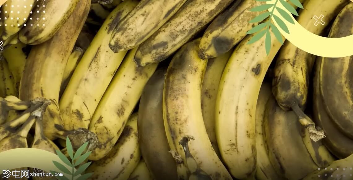 你会吃哪种香蕉?